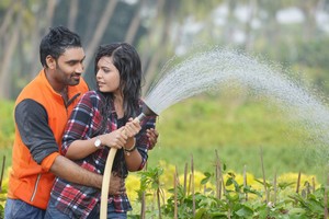 Romance With Finance Movie Photos